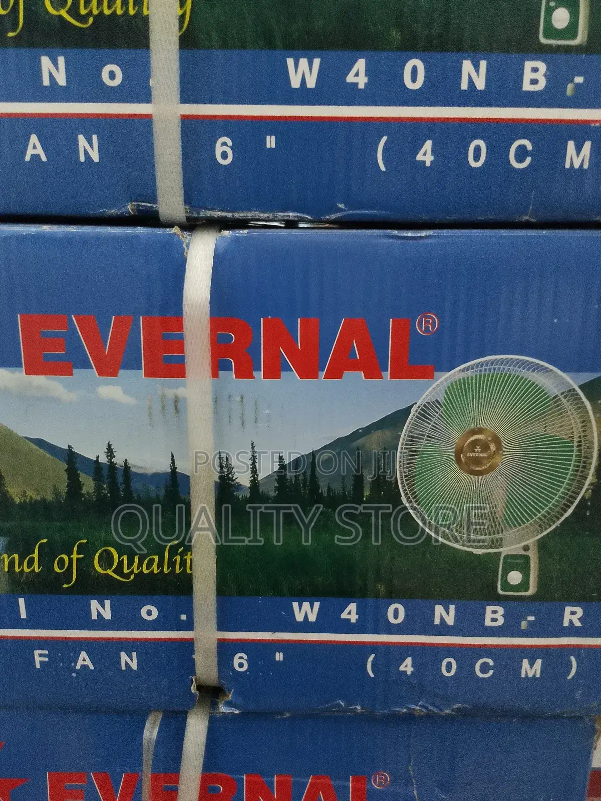 Ceiling Fan Evernal