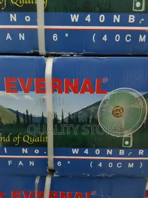 Ceiling Fan Evernal