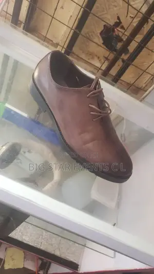 Timbaland Shoes