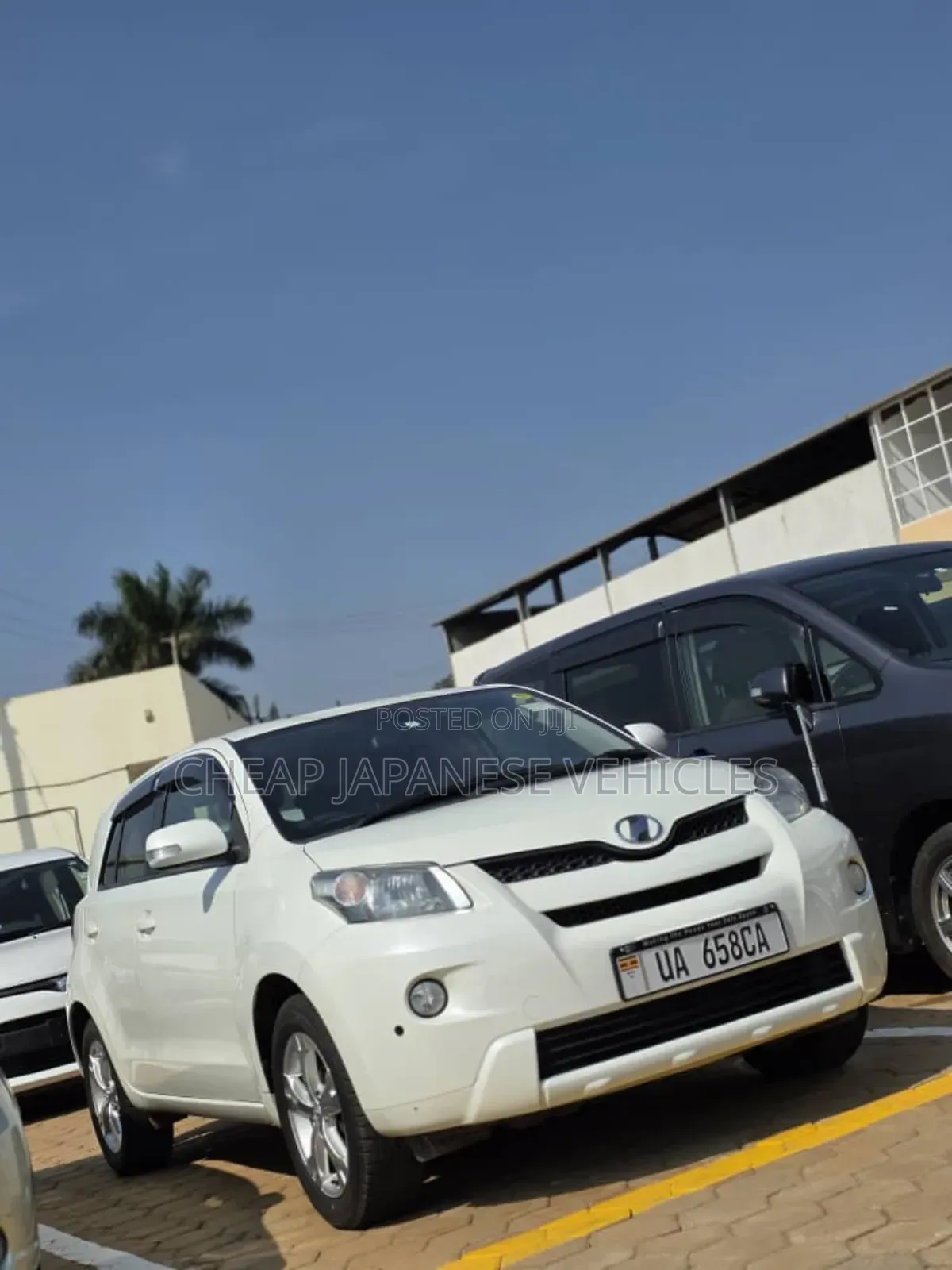 Toyota IST 2011 White