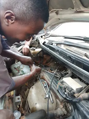 Professional Vehicle Mechanic