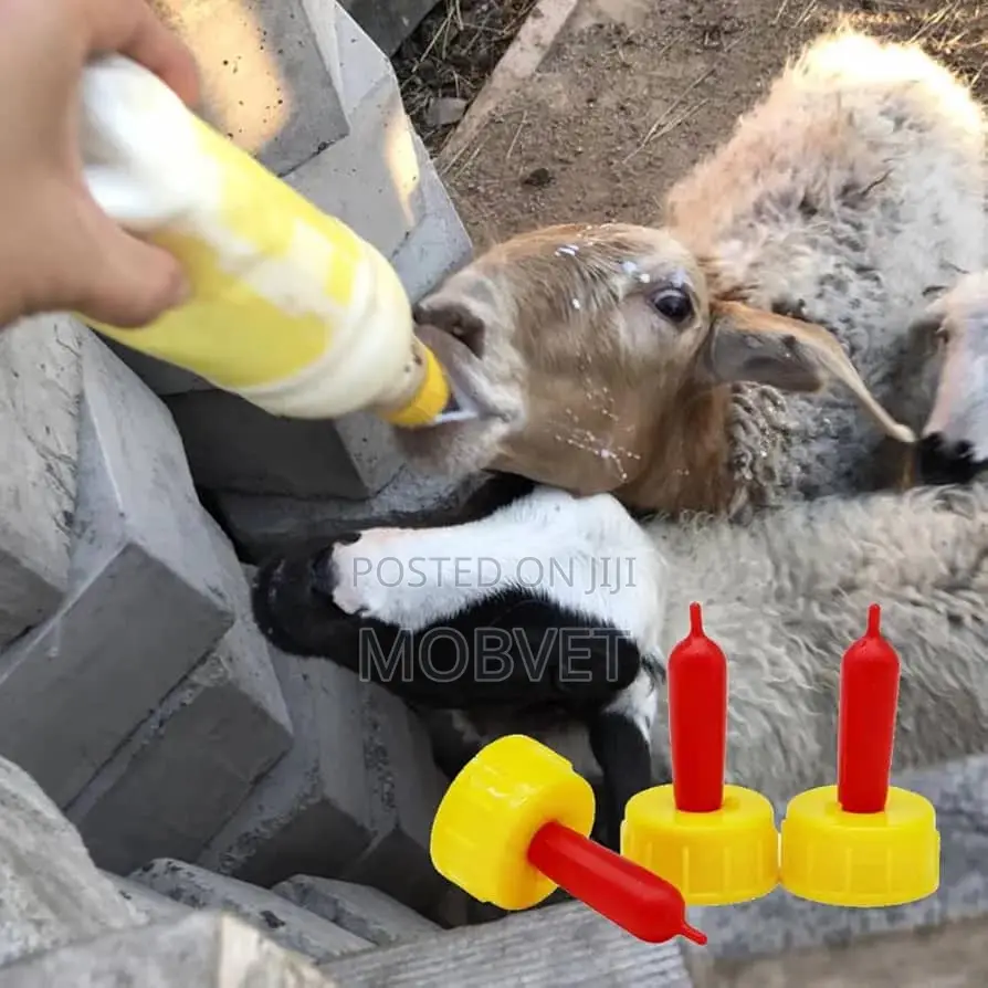 Bottle Feeders for Goats Pigs
