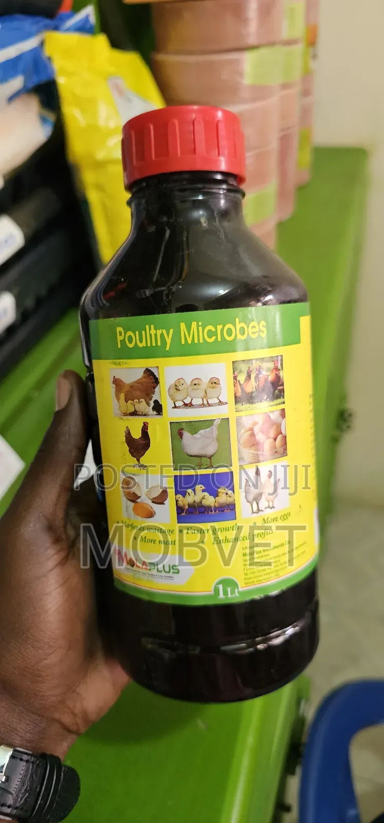 Molaplus Poultry Microbes