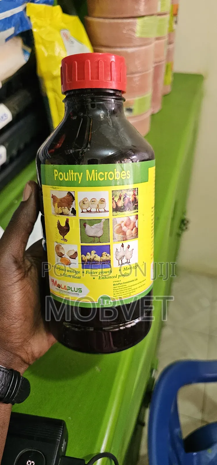 Molaplus Poultry Microbes