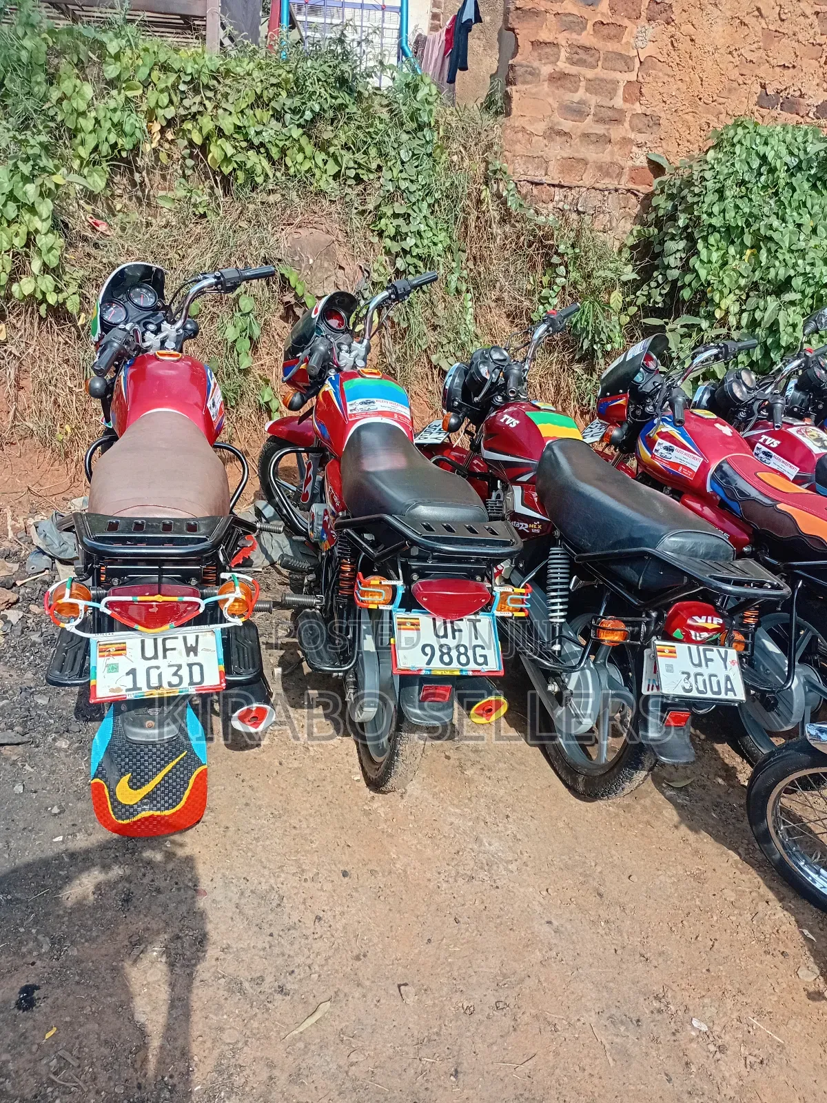 TVS HLX 125 2023 Red