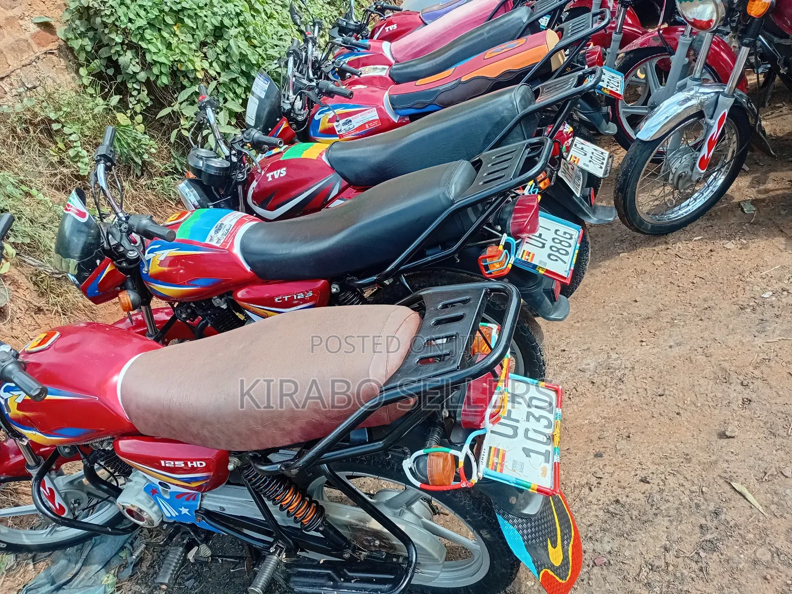TVS HLX 125 2023 Red