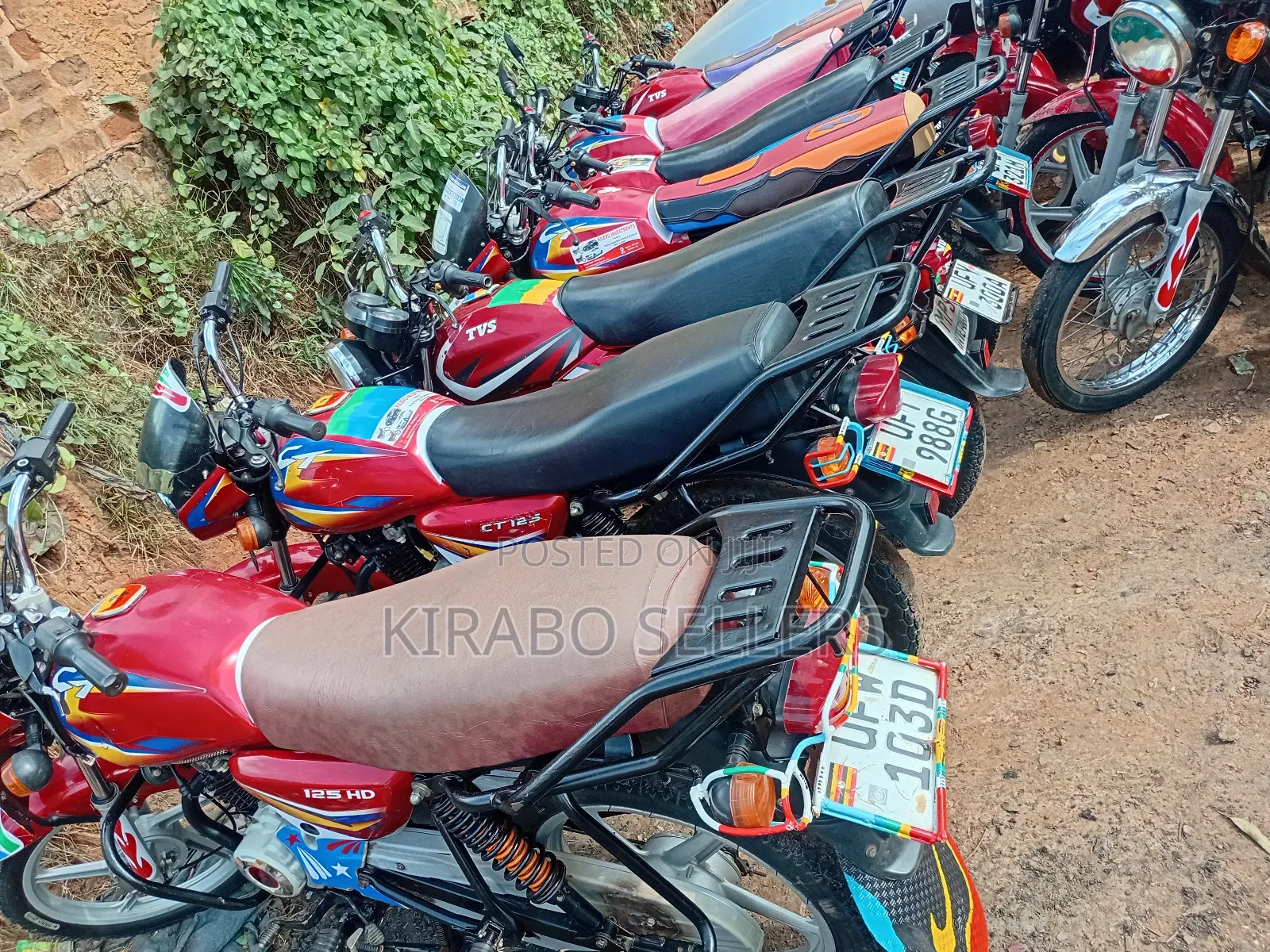 TVS HLX 125 2023 Red