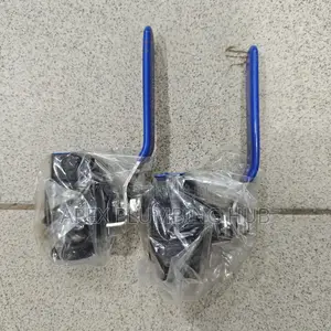 Steam Globe Valves
