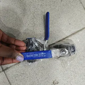 Steam Globe Valves