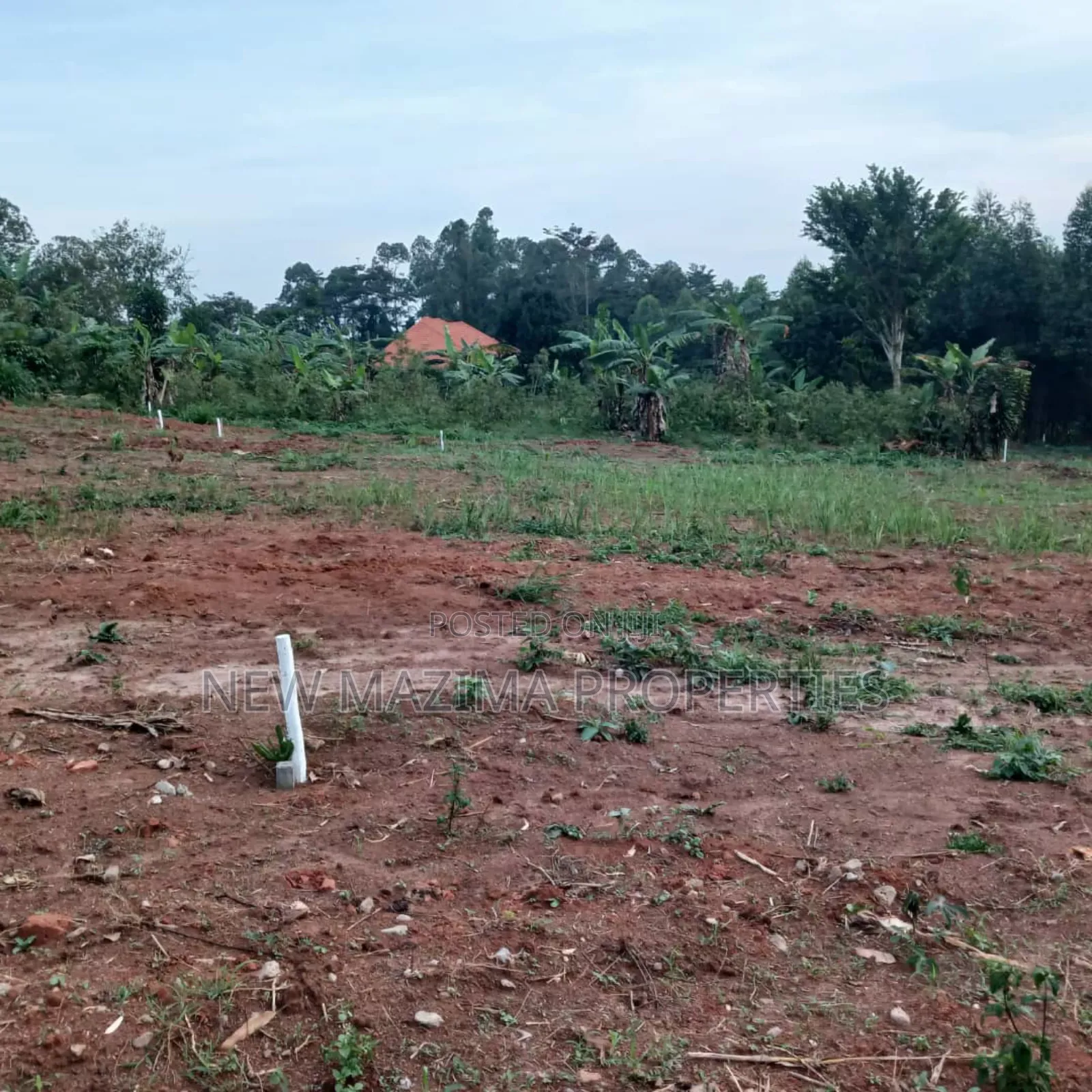 Arleady Private Mile Land Titled Plots on Table on Sale Kitende Ssisa