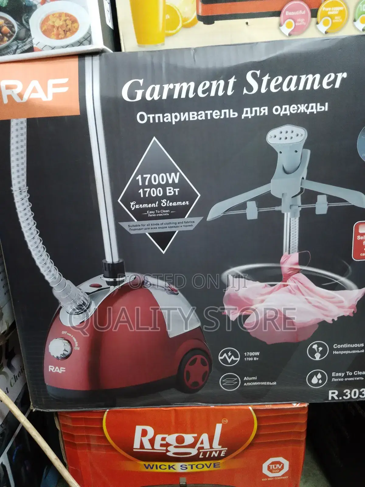 Garment Steamer Raf