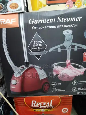 Garment Steamer Raf