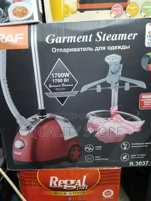 Garment Steamer Raf