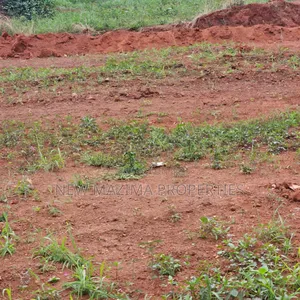 Commercial Plots on Forcedsale in Heart Kitende Ssisa Ntbe Rd