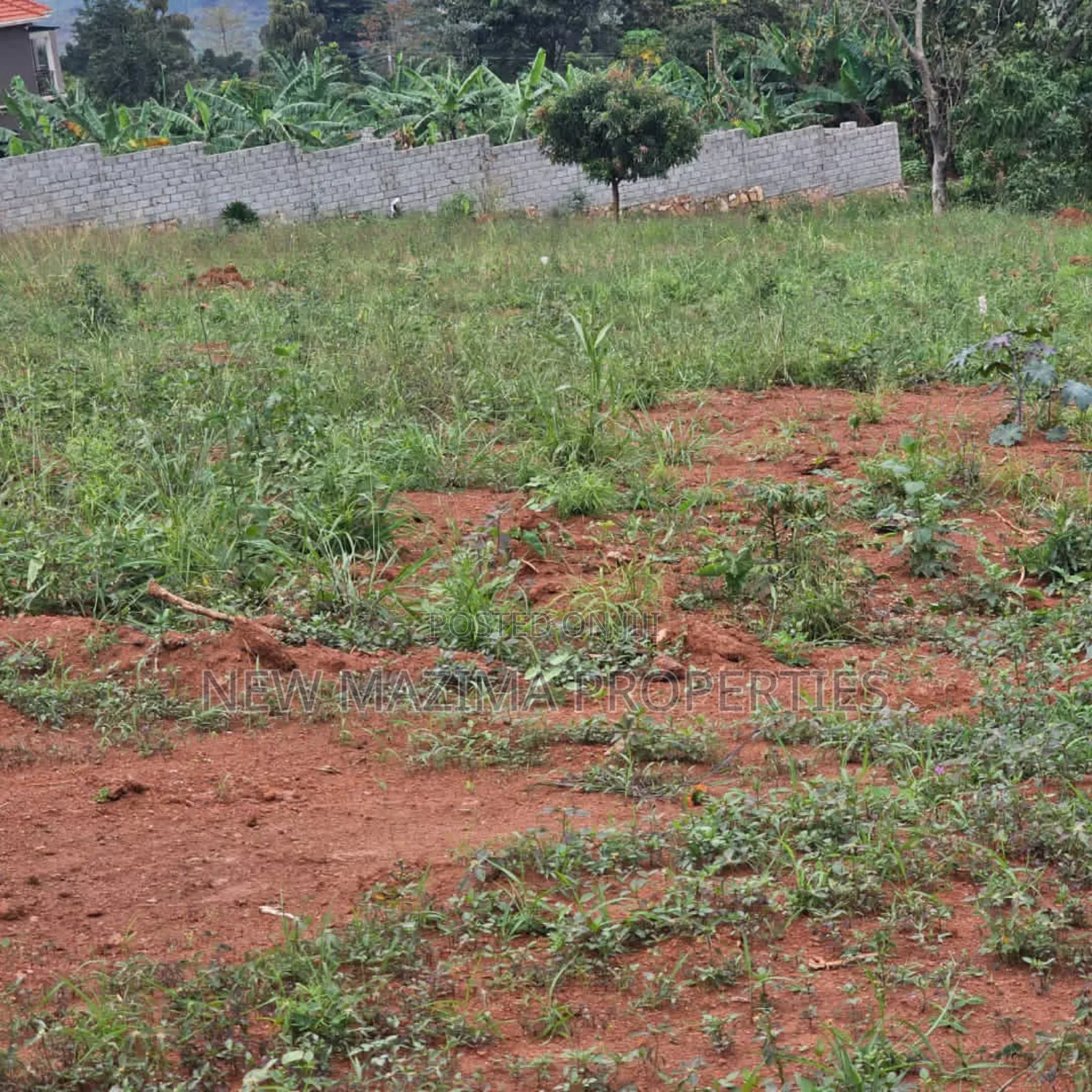 Commercial Plots on Forcedsale in Heart Kitende Ssisa Ntbe Rd