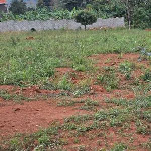Commercial Plots on Forcedsale in Heart Kitende Ssisa Ntbe Rd