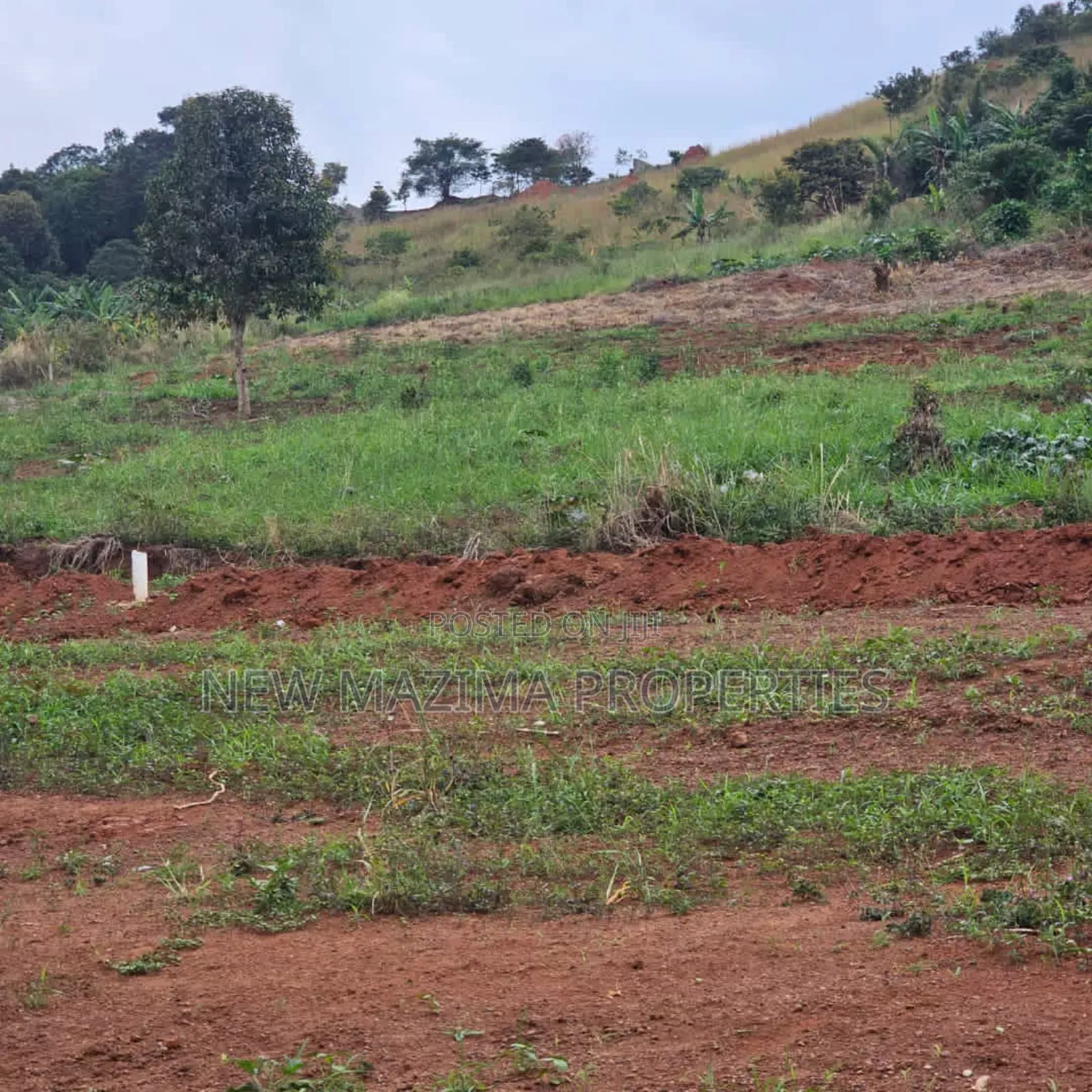 Commercial Plots on Forcedsale in Heart Kitende Ssisa Ntbe Rd