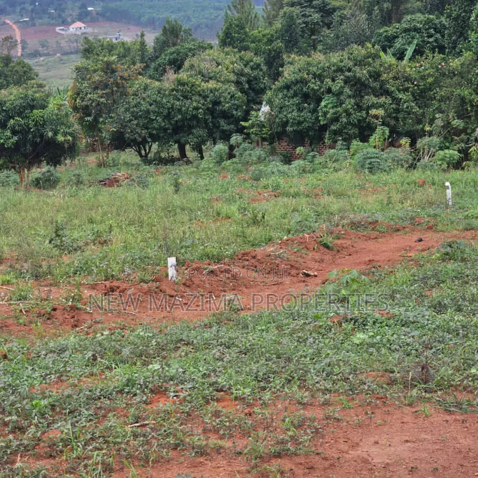 Commercial Plots on Forcedsale in Heart Kitende Ssisa Ntbe Rd