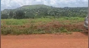 Land on Sale Side of Mpiji Karagala 50-100 Comes With Land Title