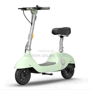 Electric Scooter With a Seat