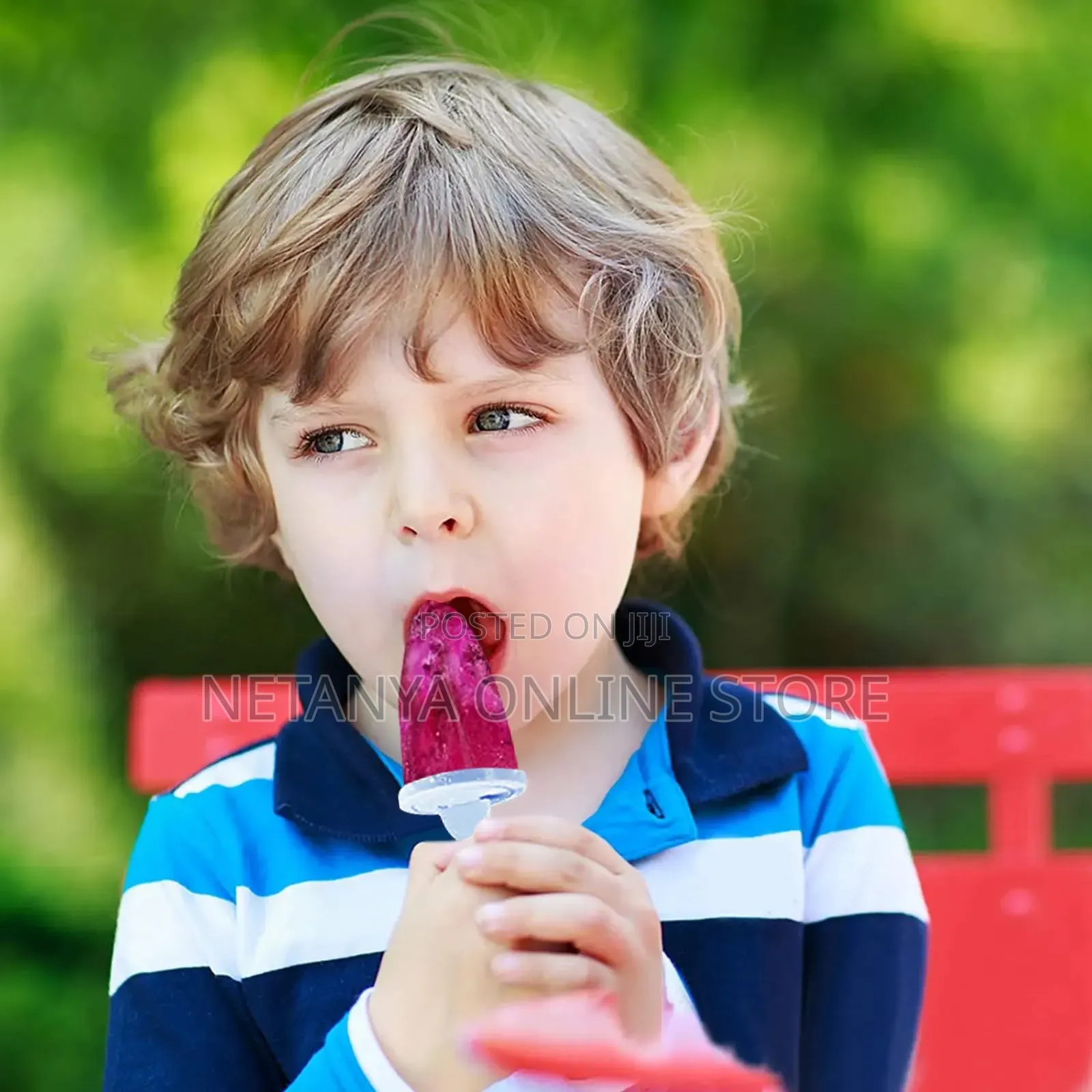 Popsicle Ice Moulds