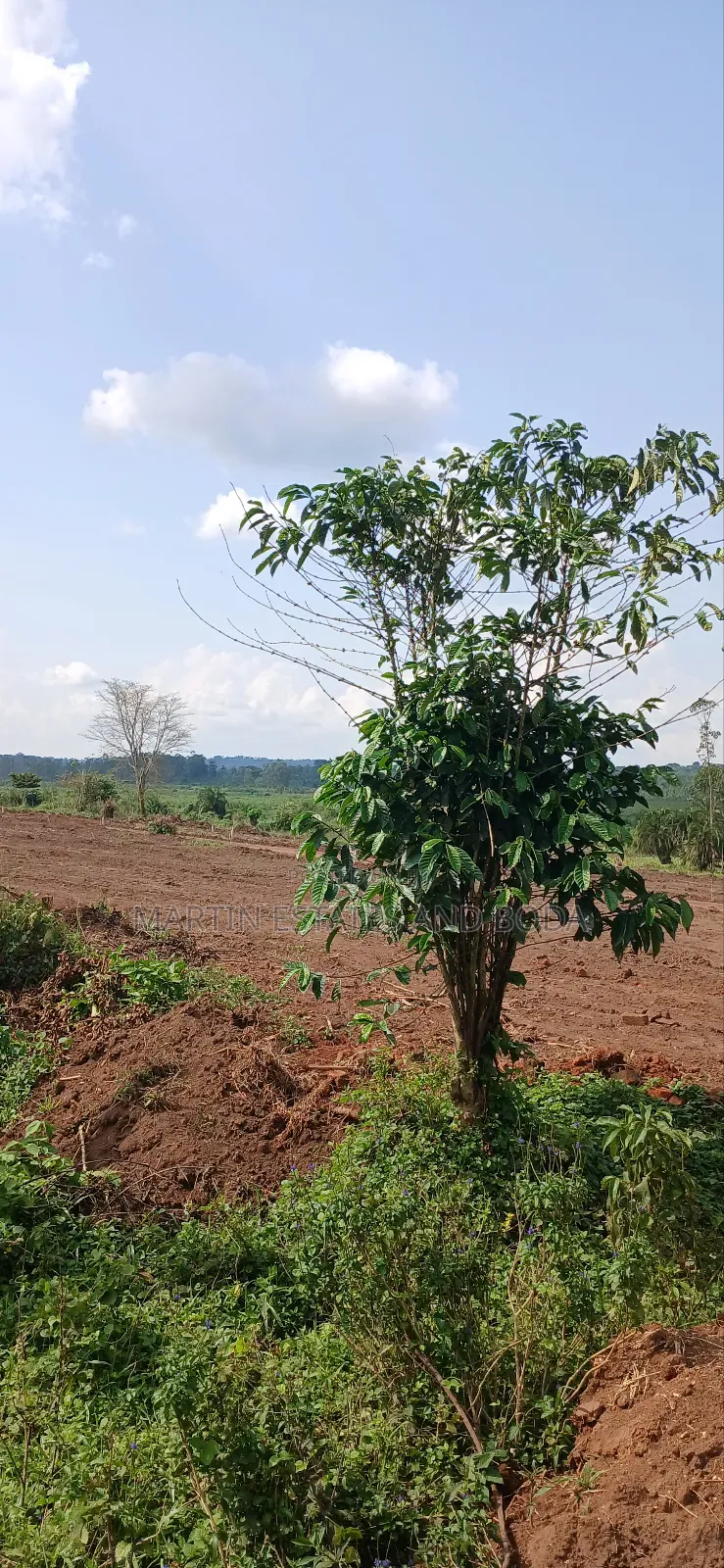 Kakiri Estates