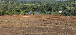 Do You Own Any Land - Grab This Now .