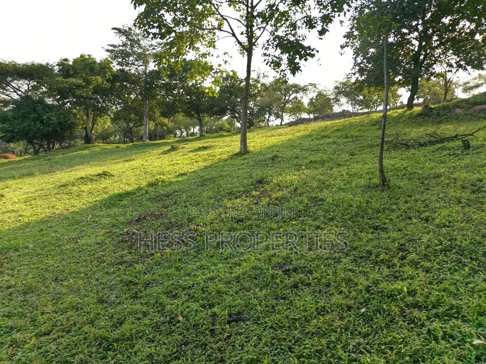 Farmland on Sale Located in Kyegegwa
