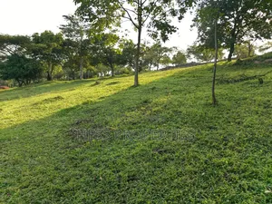 Farmland on Sale Located in Kyegegwa