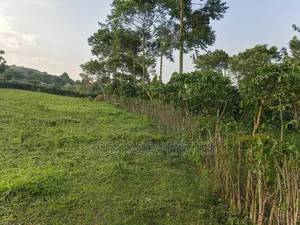 Farmland on Sale Located in Kyegegwa