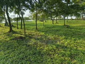 Farmland on Sale Located in Kyegegwa