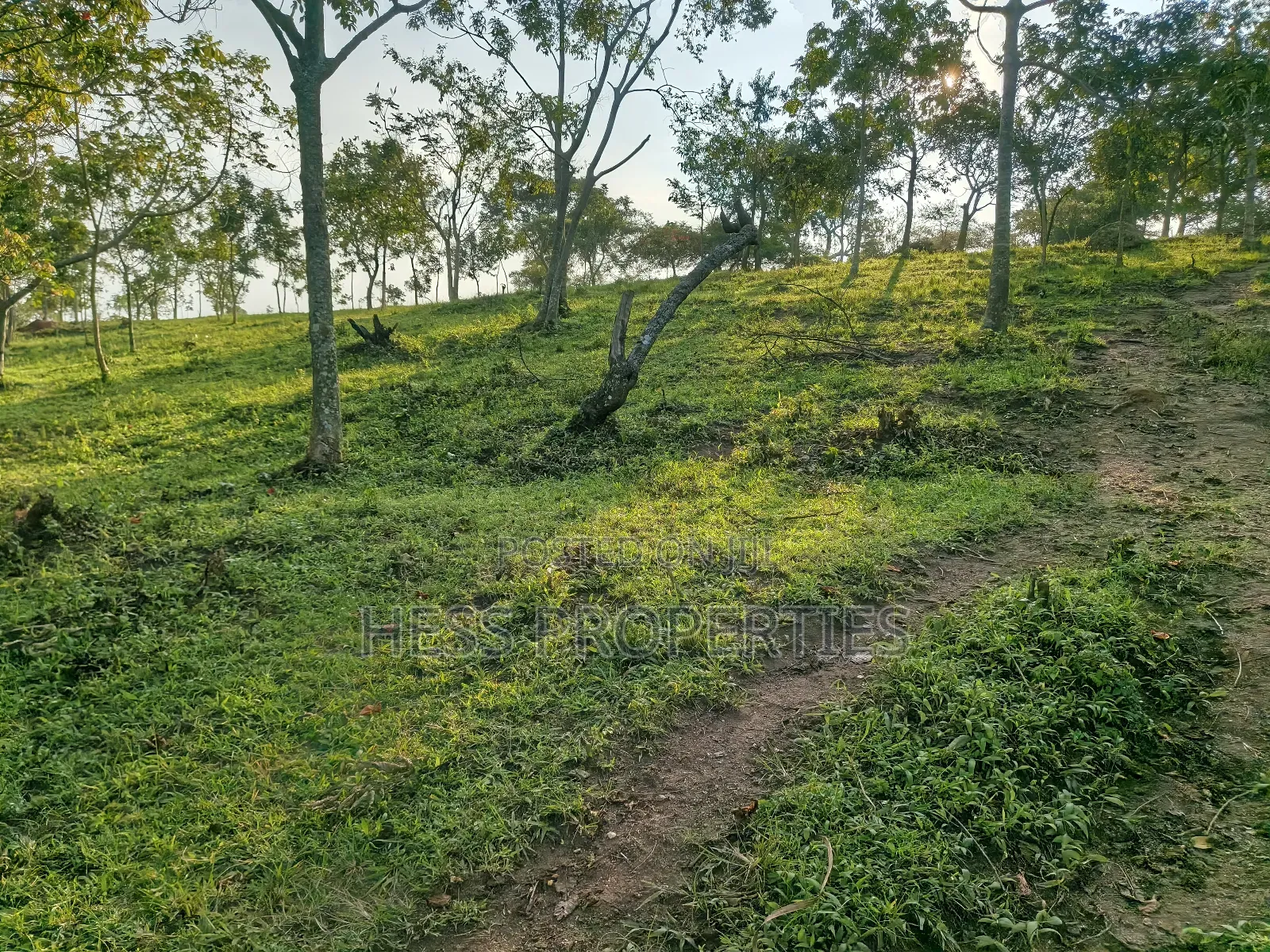 Farmland on Sale Located in Kyegegwa