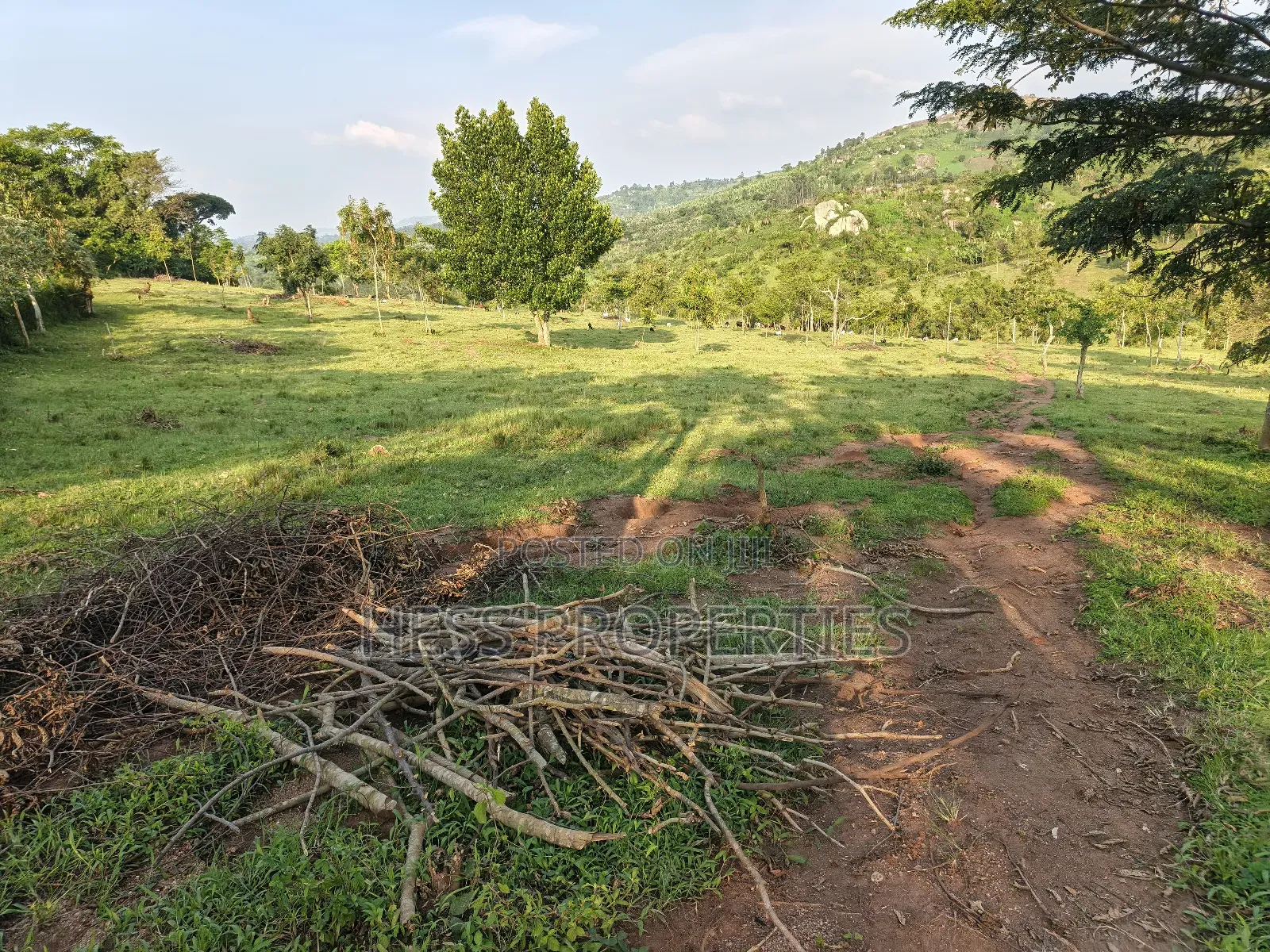 Farmland on Sale Located in Kyegegwa