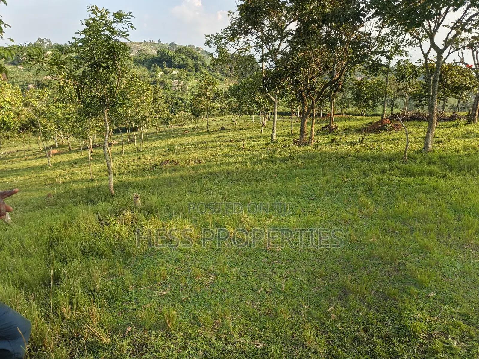 Farmland on Sale Located in Kyegegwa