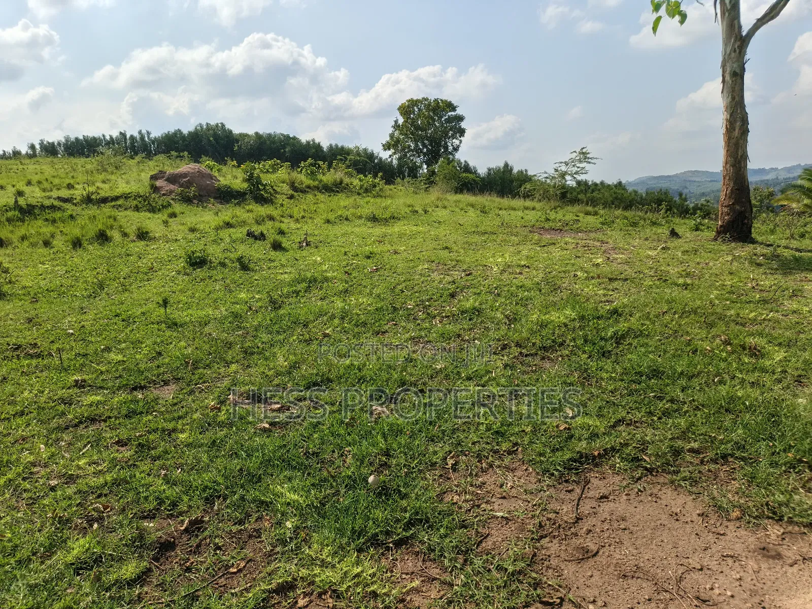Farmland on Sale Located in Kyaka