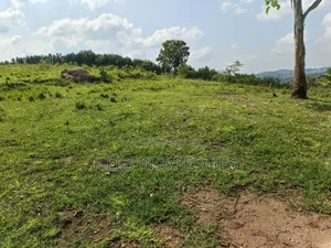 Farmland on Sale Located in Kyaka