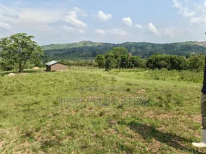 Farmland on Sale Located in Kyaka