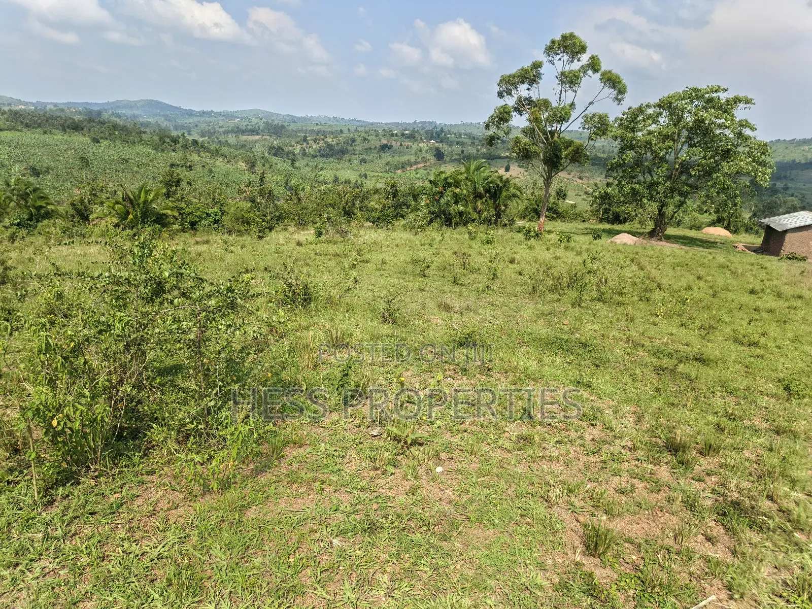 Farmland on Sale Located in Kyaka
