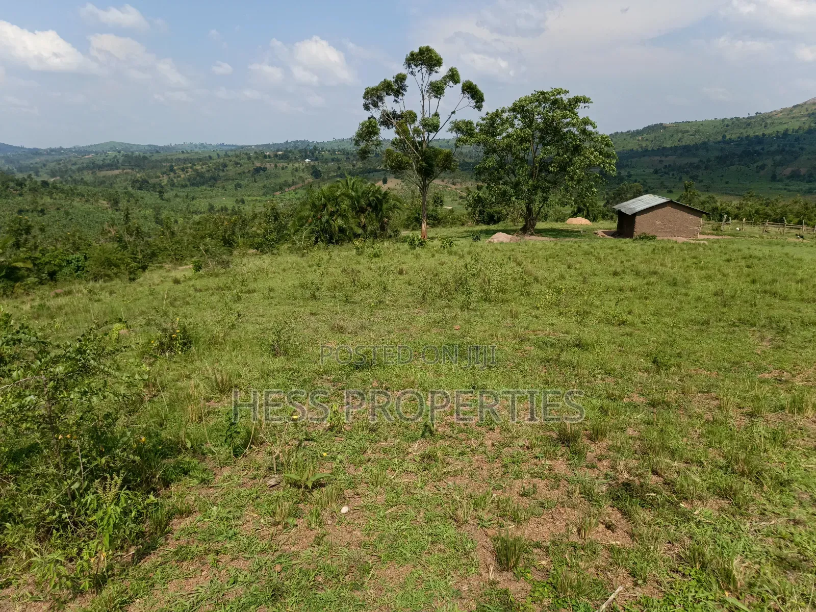 Farmland on Sale Located in Kyaka