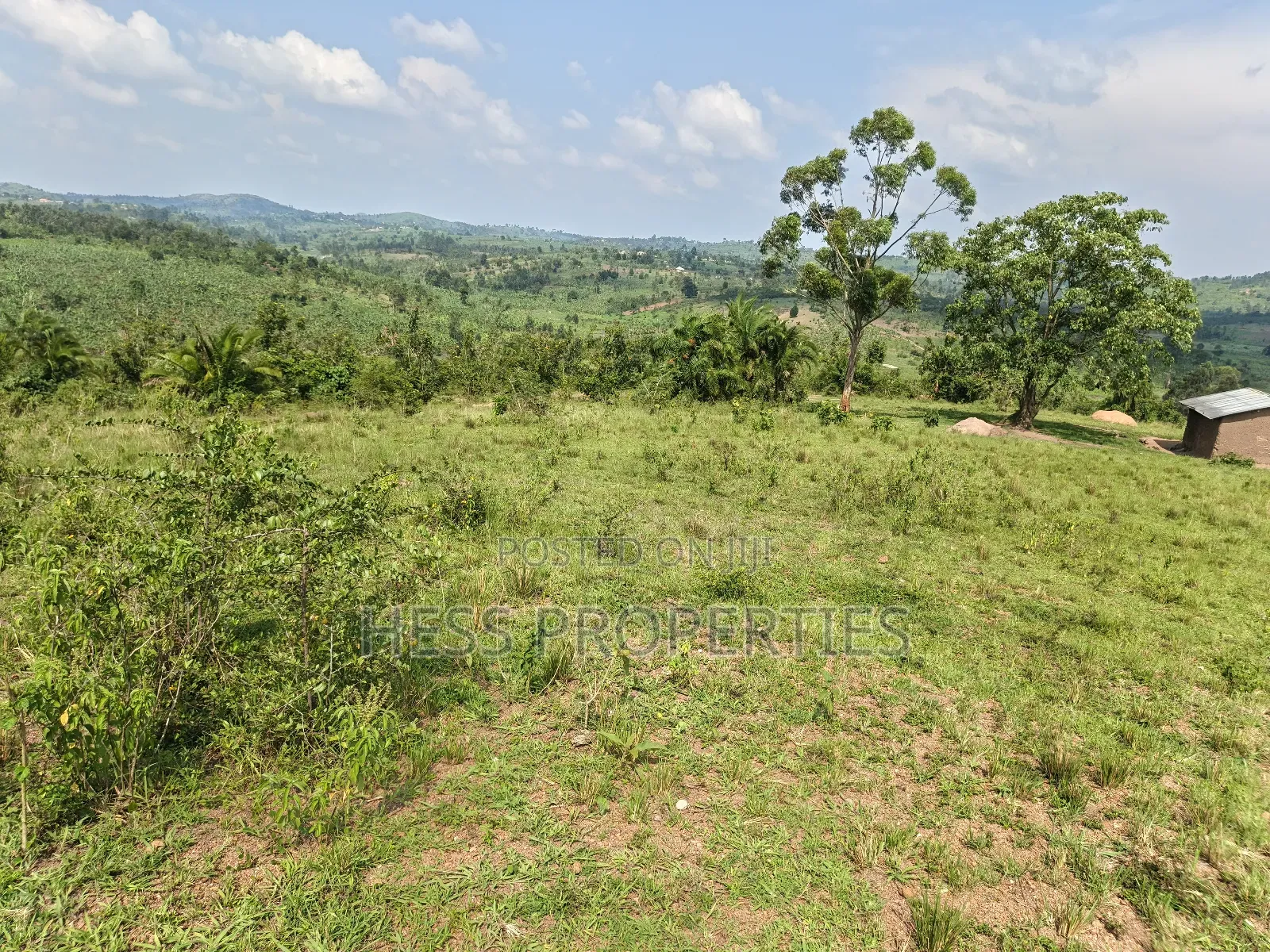 Farmland on Sale Located in Kyaka