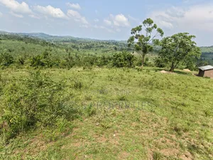Farmland on Sale Located in Kyaka