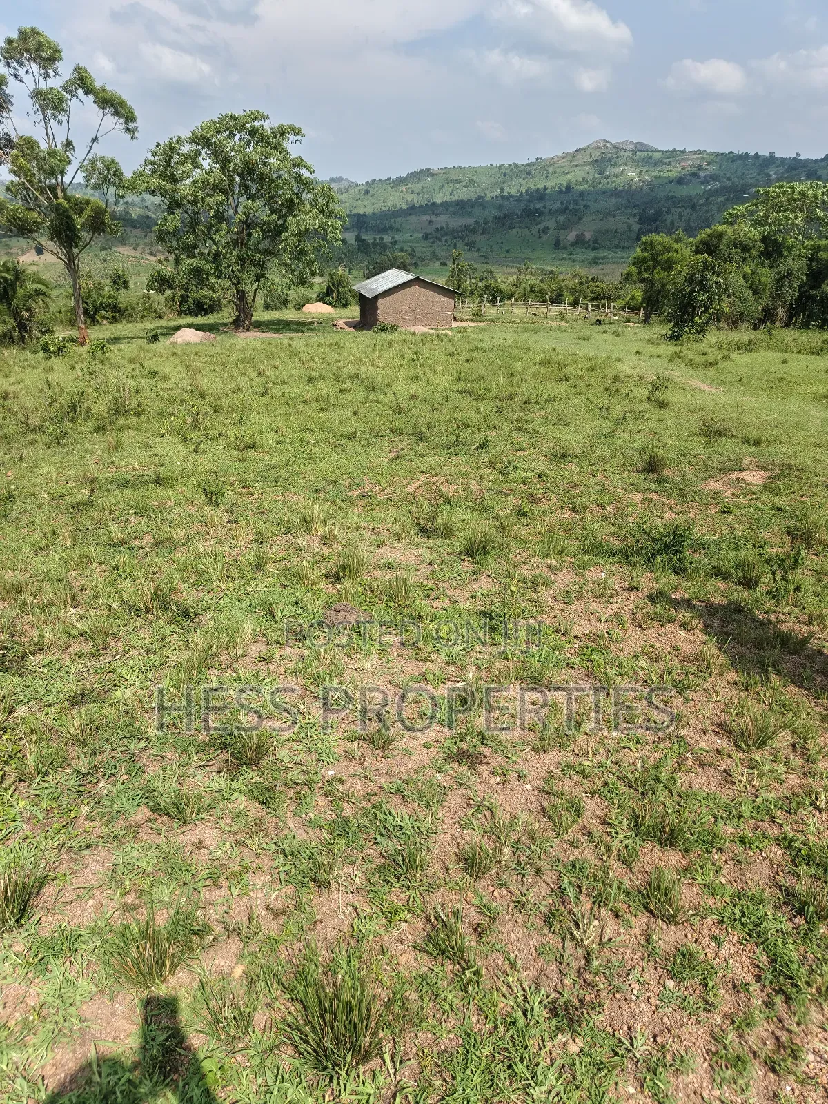 Farmland on Sale Located in Kyaka