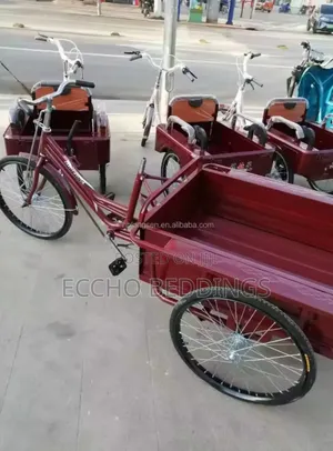 Tri Cycle With a Carrier