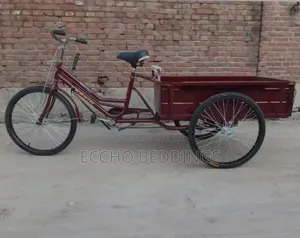 Tri Cycle With a Carrier