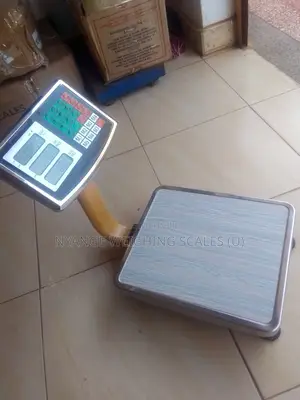 Electronic Weigh Heavy Duty Weighing Scale 80kg Digital Weighing Scale