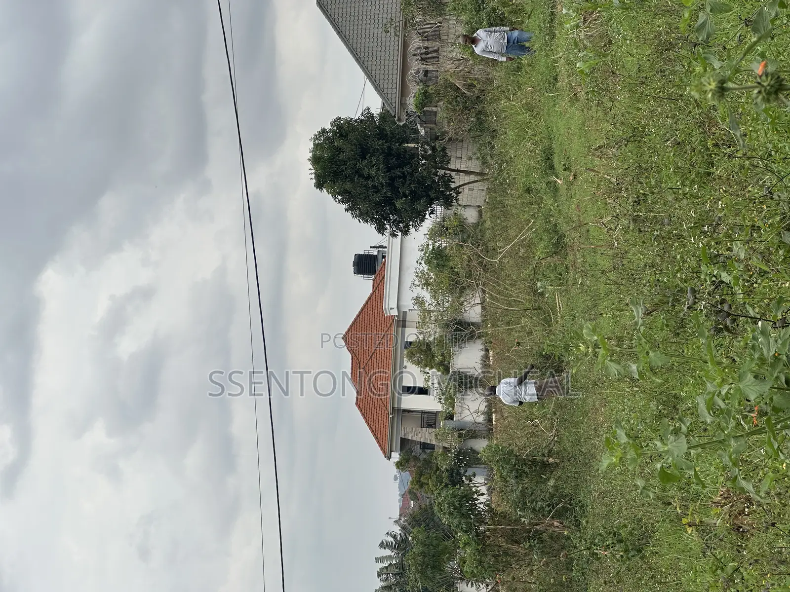 Ssonde Jinja Misindye 50ft by 100ft