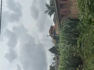 Nabusugwe Road Fences Plot for Sale