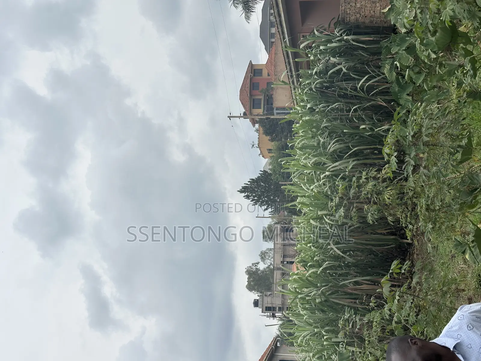 Nabusugwe Road Fences Plot for Sale