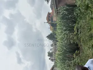 Nabusugwe Road Fences Plot for Sale
