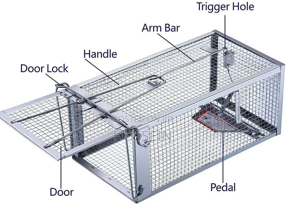 Zlpet Outdoor/Indoor Rat Trap Box